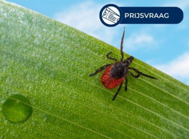 Week van de Teek prijsvraag