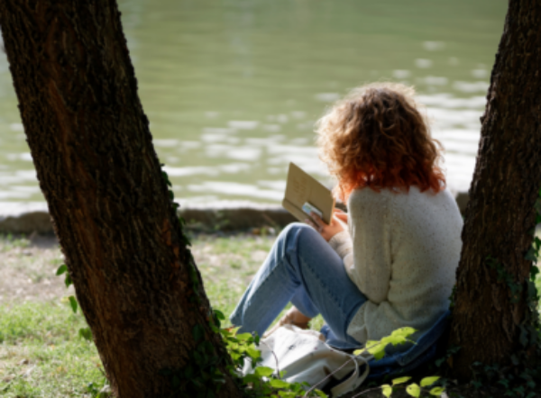 Meisje leest boek in hetpark onder een boom aan het water