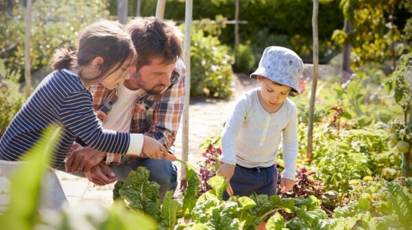 Vader met 2 kinderen samen in de moestuin