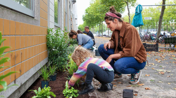 Zo maak je je tuin klimaatbestendig