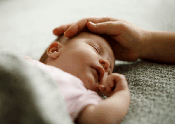 New Born Hilvarenbeek