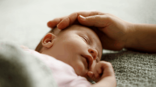 New Born Hilvarenbeek